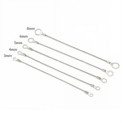 Stainless Steel Cable Loop with Carabiner Wire Rope Assembly Eyelet Terminal Wire Rope Slings