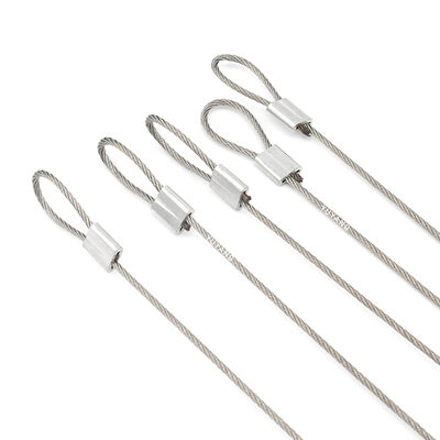 Loop Safety Rope Stainless Steel Galvanized Wire Rope Cable With Eyelet Stainless Clip Hook Carabiner and Loop End Safety Cable